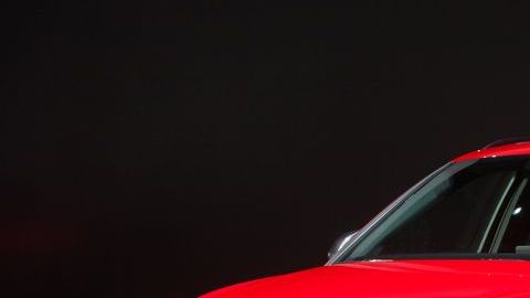 shutterstock_558535321