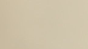 shutterstock_604568423