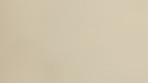 shutterstock_604568423