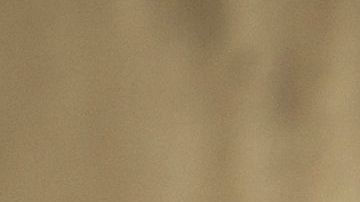 shutterstock_620932439