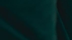 La mujer estaba muy feliz, pero el esposo no tanto.