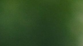 Algunos generadores nuevos cuentan con un sensor incorporado que activa un apagado automático si el gas se acumula a niveles peligrosos.