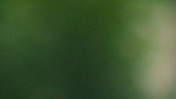 Algunos generadores nuevos cuentan con un sensor incorporado que activa un apagado automático si el gas se acumula a niveles peligrosos.