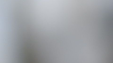 shutterstock_658836205