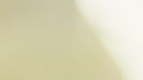 shutterstock_662146459