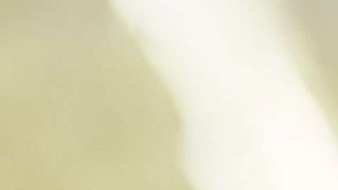 shutterstock_662146459