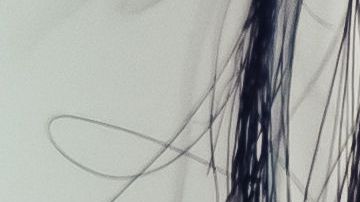 La actividad sexual influye en el comportamiento hormonal.