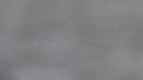 shutterstock_711588502