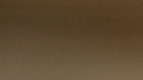 shutterstock_730052251