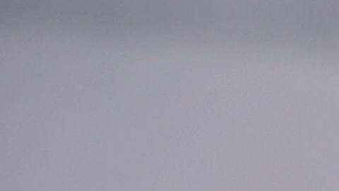 shutterstock_786017698