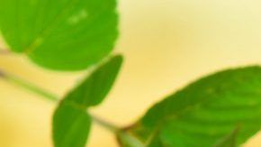 Seguir una alimentación saludable y evitar llevar una vida sedentaria es clave en el tratamiento de la diabetes.