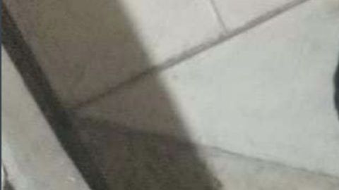 Sicario mata a policía en plena reunión familiar con dos tiros en la cabeza