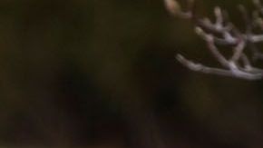 No existía una buena relación entre el presidente y el escolta de los Lakers.