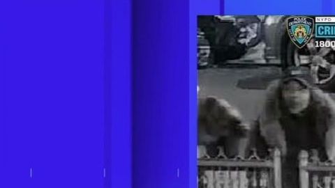 Imagen de la sospechosa