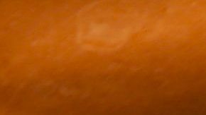 Joao Sousa fue encontrado culpable de arreglo de partidos en la gira ATP.