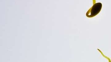 La contaminación del aire puede reducir el tamaño y la calidad del esperma.