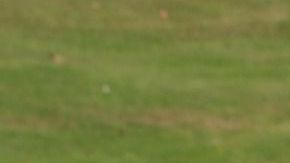 sportscar-17583_1920