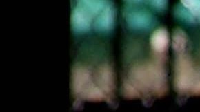 Steve Irwin, "Cazador de cocodrilos"