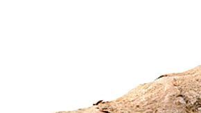 Integrar cúrcuma en tu dieta diaria es uno de los mejores aliados de salud y te ayudará a mantener un peso saludable.