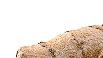 Integrar cúrcuma en tu dieta diaria es uno de los mejores aliados de salud y te ayudará a mantener un peso saludable.