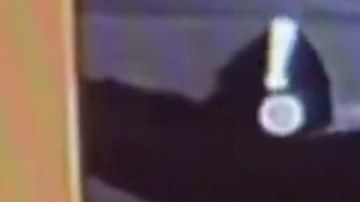 El ladron en el Taco Bell.