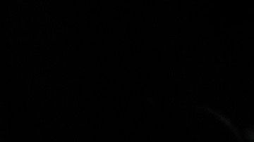 La herramienta bloquea llamadas sospechosas en el celular del usuario.