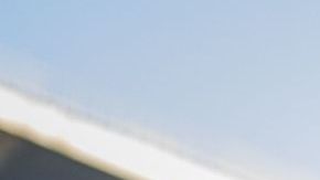 Javier Hernández está seguro de que los rojiblancos pueden llevarse el título de la Liga MX.