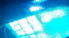 Pesca de tiburones.