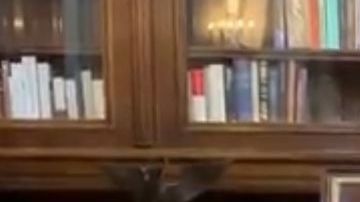 Andrés Manuel López Obrador.