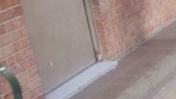 Tragedia con escuela mexicana.