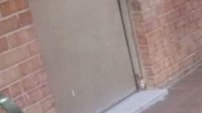 Tragedia con escuela mexicana.