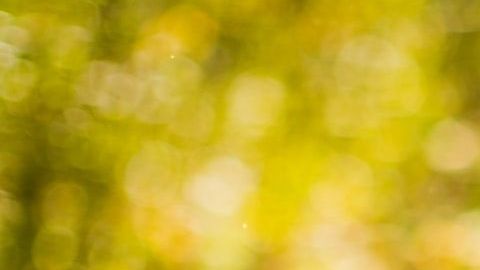 Tradiciones latinas en Estados Unidos / Créditos: Fotógrafo Drew Hays vía Unsplash