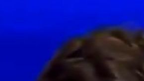 Tucker Carlson critica a Trump por Irán.