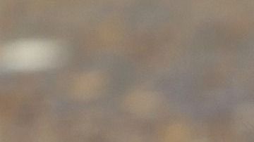 El Día de Acción de Gracias se celebrará el próximo jueves 24 de noviembre.