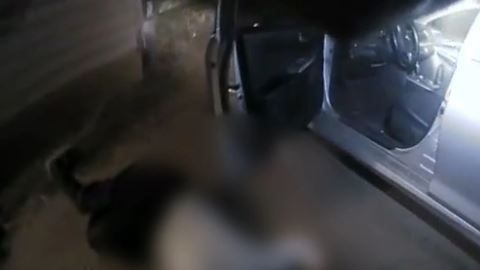 Las imágenes son fuertes.