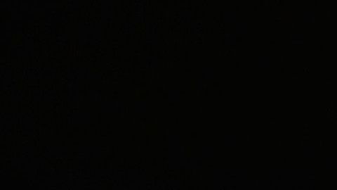 Usain Bolt espera la llegada de su primer hijo.