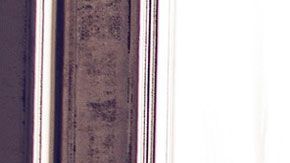 Varias personas en internet comentaron que esta acción fue de mal gusto.