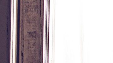 Varias personas en internet comentaron que esta acción fue de mal gusto.