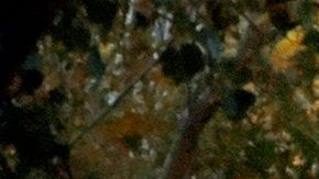 Viajes ecofriendly, Argentina / Créditos: Over Snap vía Getty