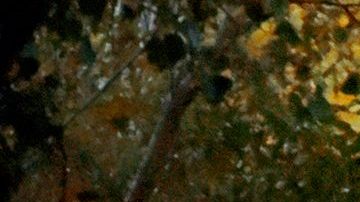 Viajes ecofriendly, Argentina / Créditos: Over Snap vía Getty