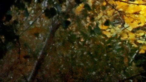 Viajes ecofriendly, Argentina / Créditos: Over Snap vía Getty