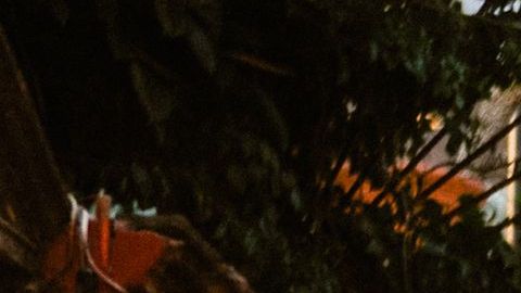 Viajes en pareja baratos, San Miguel de Allende / Créditos: Fotógrafo Ferrantraite / iStock