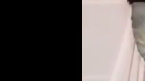 VIDEO: Cártel del Noreste interroga a narcomenudista, luego lo habrían descuartizado