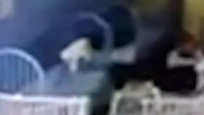 Dos trabajadores respondieron rápido para levantarla.