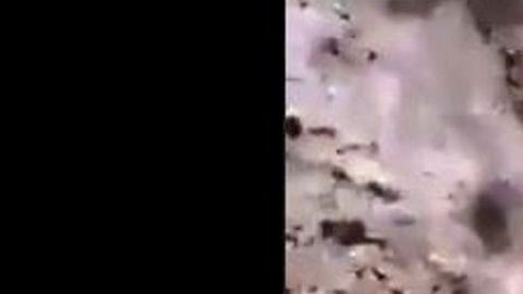 VIDEO: Familia Michoacana mata decenas de animales y habitantes huyen de casas