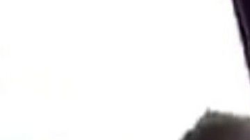 VIDEO: Halcón del Cártel del Golfo así avisa de la presencia demilitares cerca de la frontera