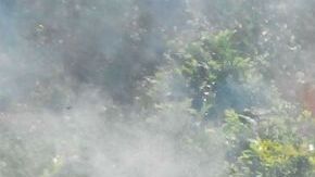 VIDEO: Jovencito relata cómo narcos lo secuestraron y esclavizaron para sembrar amapola