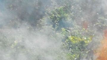 VIDEO: Jovencito relata cómo narcos lo secuestraron y esclavizaron para sembrar amapola