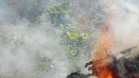 VIDEO: Jovencito relata cómo narcos lo secuestraron y esclavizaron para sembrar amapola
