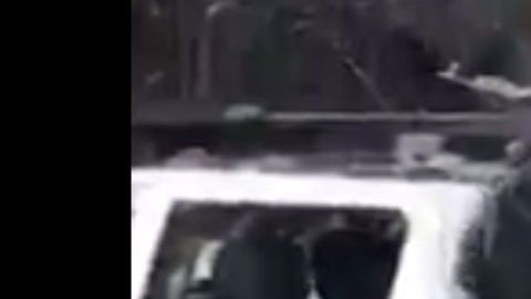 VIDEO: Sicarios del Mayo Zambada y los Chapitos muestran su poderío